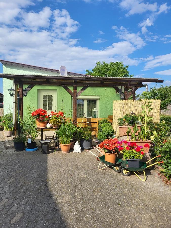 Ferienwohnung Bauerngarten Klein Vielen 외부 사진